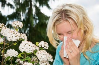 Alergias respiratorias, alergia al polen