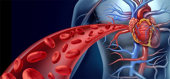 Quelacion Edta Para Enfermedades Cardiovasculares